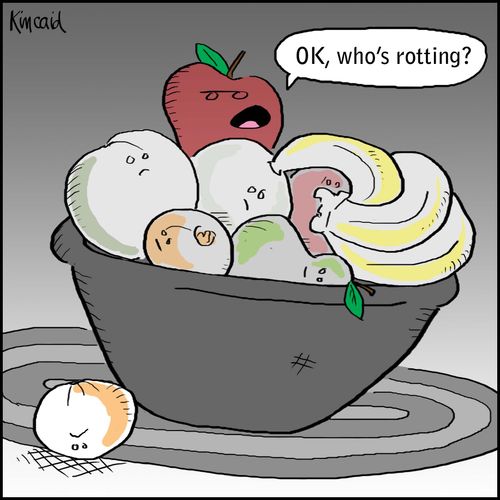 'OK, who's rotting?'