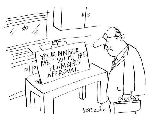 'Your dinner met with the plumber's approval.'