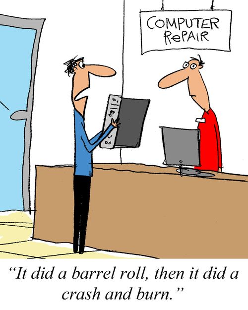 'It did a barrel roll, then it did a crash and burn.'