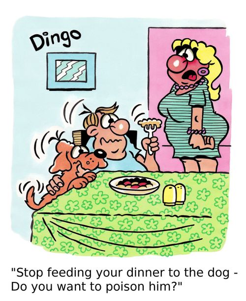 'Stop feeding your dinner to the dog - Do you want to poison him?'