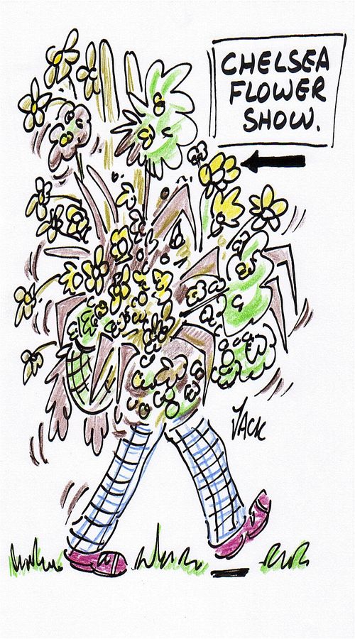 'Chelsea Flower Show.'