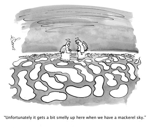 'Unfortunately it gets a bit smelly up here when we have a mackerel sky.'