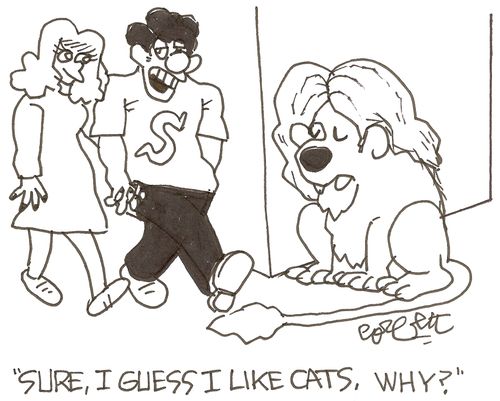 'Sure, I guess I like cats, why?'