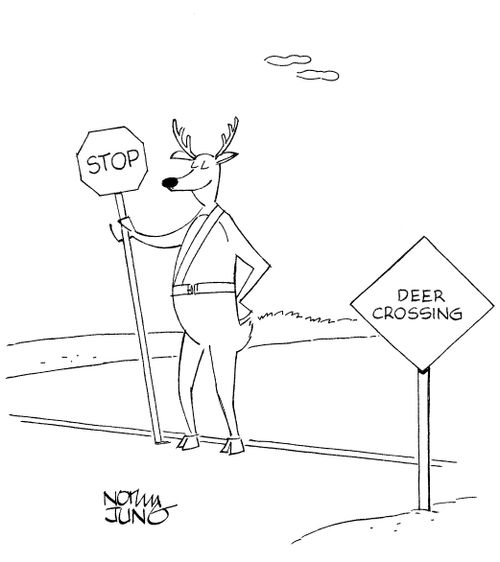 Deer Crossing.