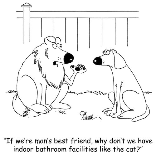 'If we're man's best friend, why don't we have indoor bathroom facilities like the cat?'