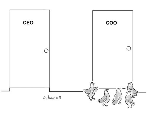 CEO and COO.
