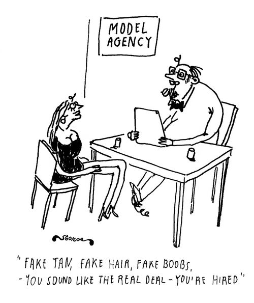 'Fake tan, fake hair, fake boobs, - You sound like the real deal - you're hired.'