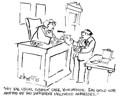 'Not the usual custody case, your honor.  This child was adopted by two different Hollywood actresses.'