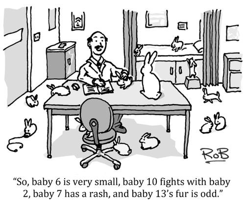 'So, baby 6 is very small, baby 10 fights with baby 2, baby 7 has a rash, and baby 13's fur is odd.'
