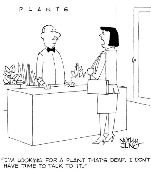 'I'm looking for a plant that's deaf. I don't have time to talk to it.'