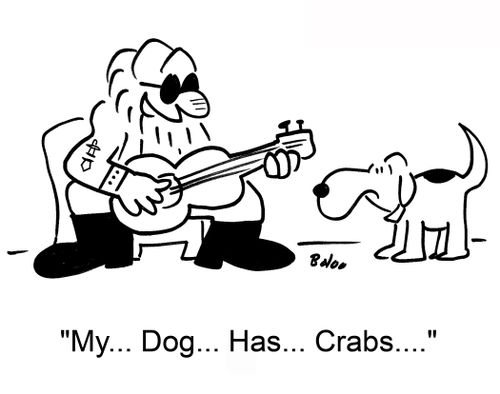 'My... Dog...Has... Crabs....'