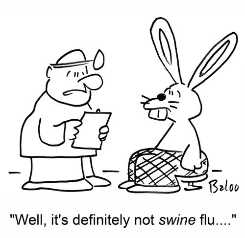 'Well, it's definitely not swine flu....'