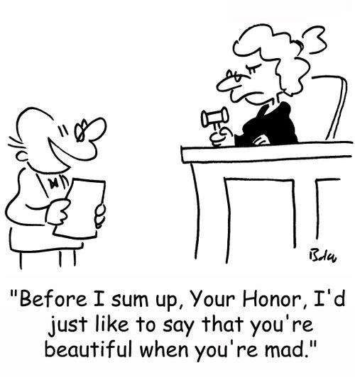 'Before I sum up, Your Honor, I'd just like to say that you're beautiful when you're mad.'