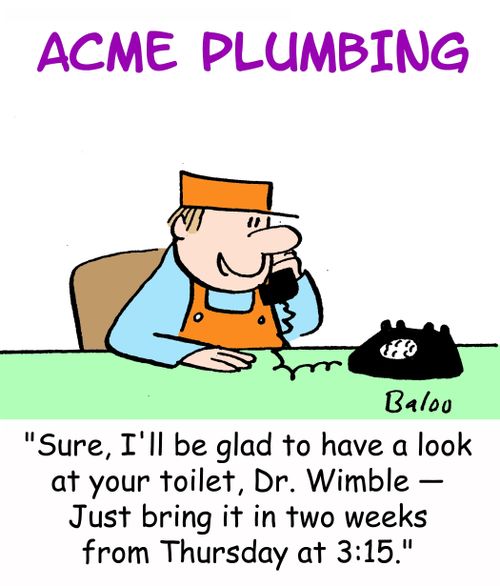 'Sure, I'll be glad to have a look at your toilet, Dr. Wimble -- Just bring it in two weeks from Thursday at 3:15.'
