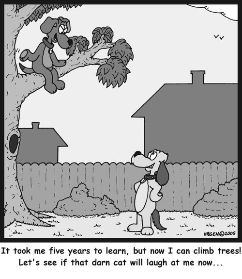 'It took me five years to learn, but now I can climb trees! Let's see if that darn cat will laugh at me now...'
