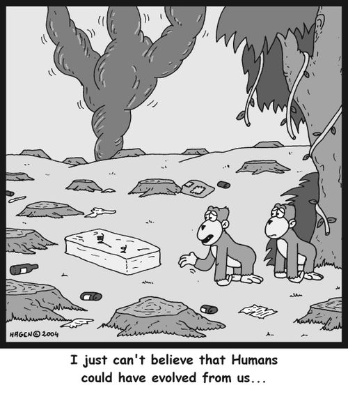 'I just can't believe that Humans could have evolved from us...'