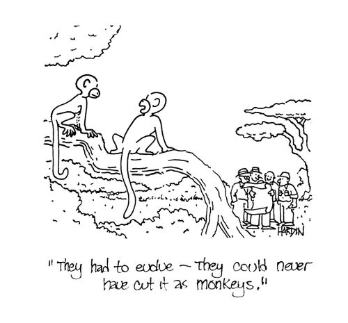 'They had to evolve - they could never have cut it as monkeys.'
