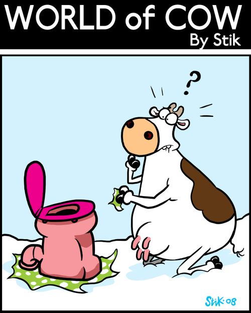 Cow looks confused at his toilet Christmas present.