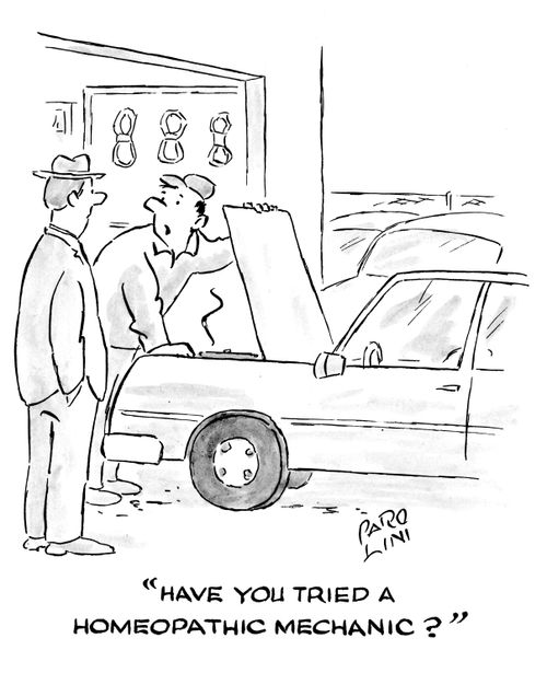 'Have you tried a homeopathic mechanic?'