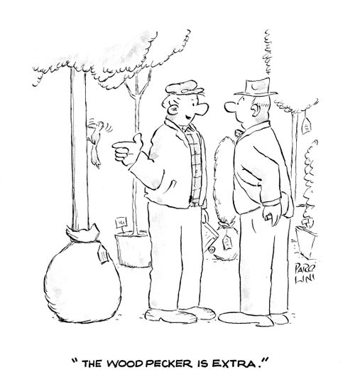 'The woodpecker is extra.'