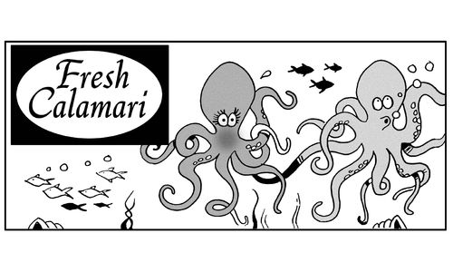 Fresh calamari.