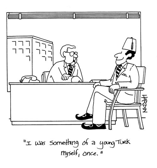 'I was something of a young Turk myself, once.'