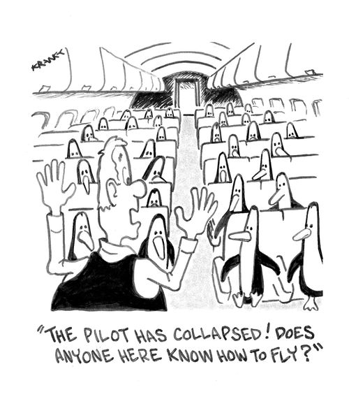 'The pilot has collapsed! Does anyone here know how to fly?'
