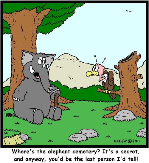 'Where's the elephant cemetery? It's a secret, and anyway, you'd be the last person I'd tell!'