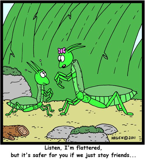 'Listen, I'm flattered, but it's safer for you if we just stay friends...'