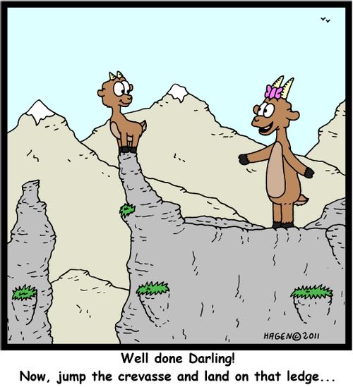 'Well done Darling! Now, jump the crevasse and land on that ledge...'