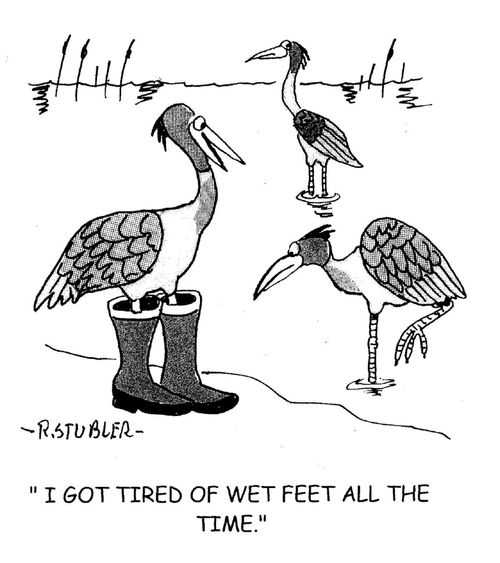 'I got tired of wet feet all the time.'