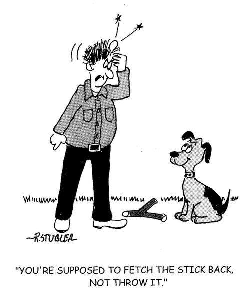 'You're supposed to fetch the stick back,not throw it.'