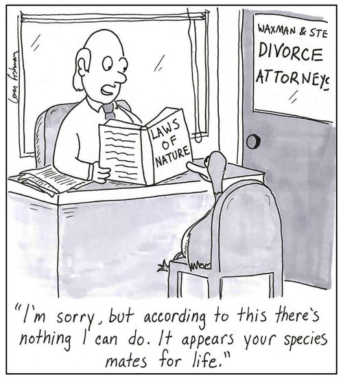 'I'm sorry, but according to this there's nothing I can do. It appears your species mates for life.' 