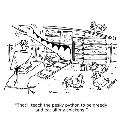 'That'll teach the pesky python to be greedy and eat all my chickens!'