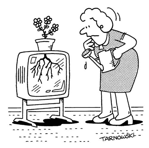 Houseplant roots showing on the TV screen.
