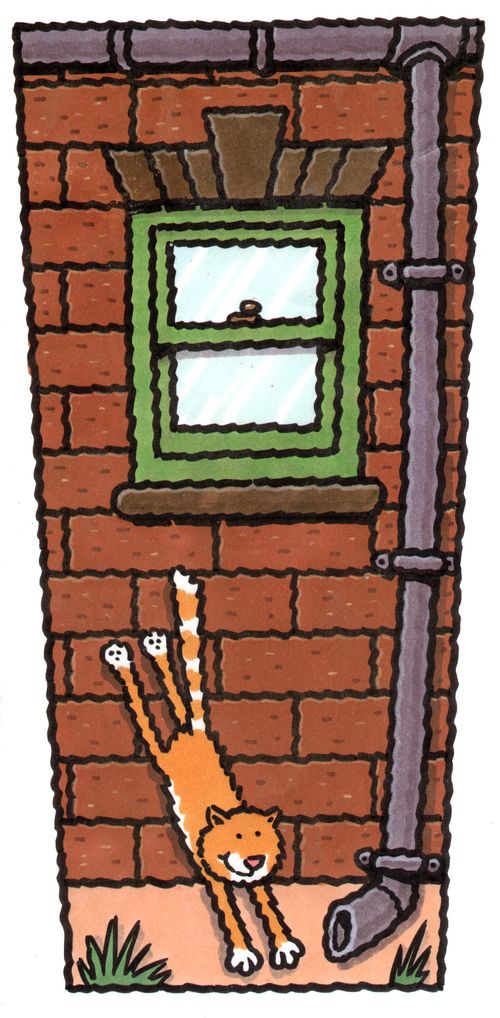 Cat in an alley.