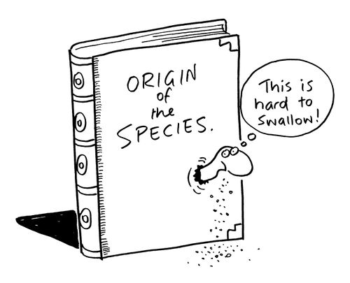 Origin of Species - "This is hard to swallow."