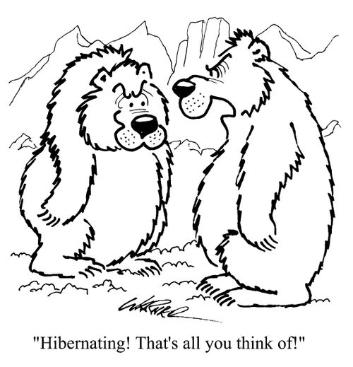 "Hibernating! That's all you think about."