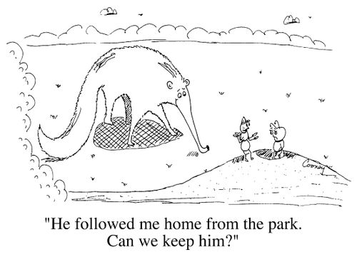 "He followed me home from the park. Can we keep him?"