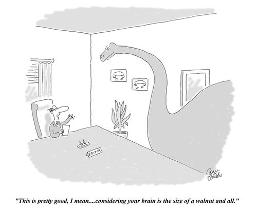 "This is pretty good, I mean...considering your brain is the size of a walnut and all."