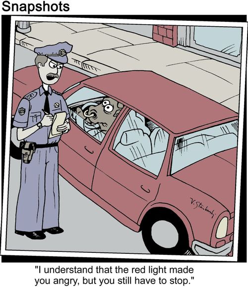 Cop says to bull, 'I understand that the red light made you angry, but you still have to stop.'