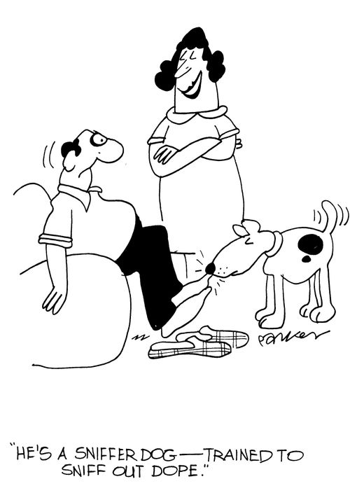 'He's a sniffer dog-trained to sniff out dope.'