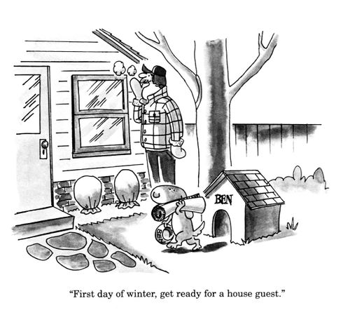 'First day of winter, get ready for a house guest.'