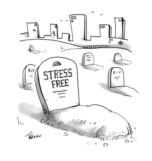 "Stress Free."