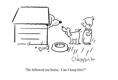 'He followed me home.  Can I keep him?'