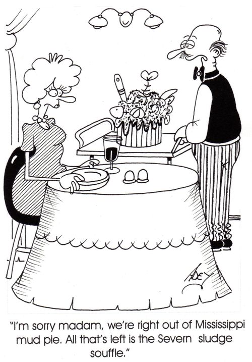 "I'm sorry madam, we're right out of Mississippi mud pie.  All that's left is the Severn sludge souffle."