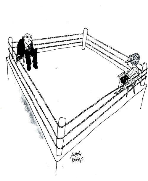 Man and Women in a Boxing Ring