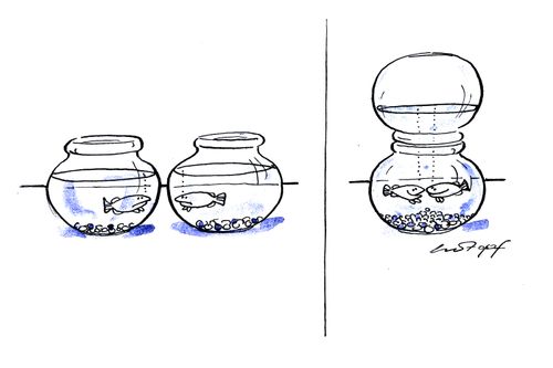 Fish Friendships.