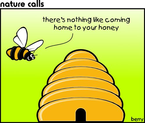 "There's nothing like coming home to your honey."