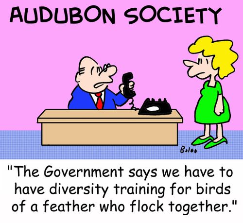 'The Government says we have to have diversity training for birds of a feather who flock together.'